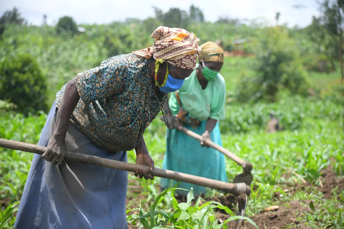 Women cultivating crops outdoors