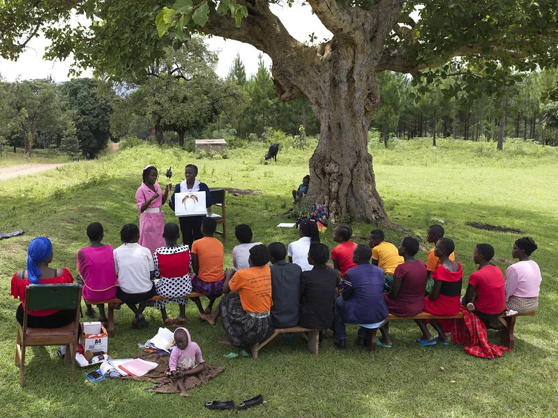 Community members meeting beneath a tree